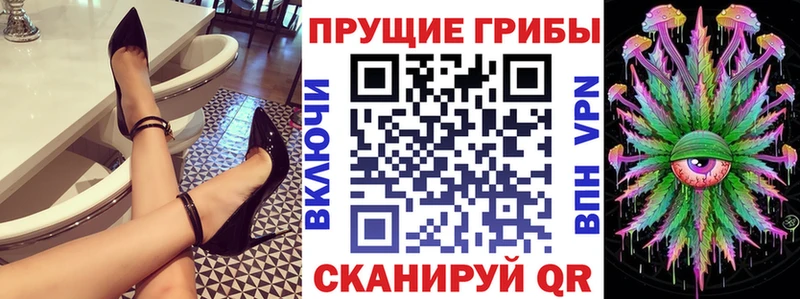 Галлюциногенные грибы прущие грибы  Купить  Юрьев-Польский 
